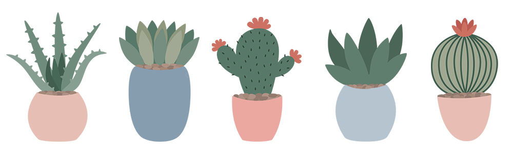 blog divider - picture of 5 cacti
