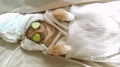 A gif of a kitten lying down as though at a spa. It is wrapped in blankets and has cucumber slices over its eyes.