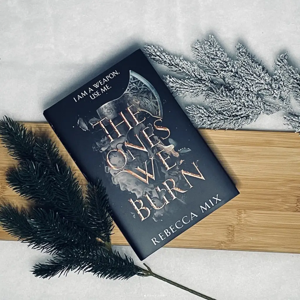 The Ones We Burn by Rebecca Mix - FairyLoot edition